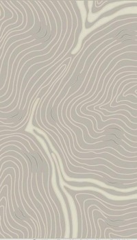 Patara 077 Grey Patara 077 Grey