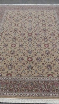Shahriar Q021-1013