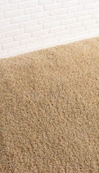 Luxury Shaggy 7001-52