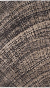 Firenze 6244 sand-mushroom