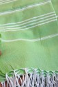 Пляжное полотенце Peshtemal Beach Pool Spa light green