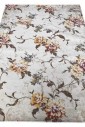 Килим Concord 7552a ivory-ivory