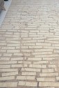 Килим Patara 244 L Beige