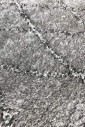 Килим Quattro 3508a l.grey-bone