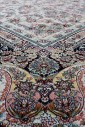 Килим Shahriyar 002 cream