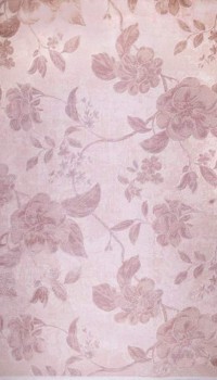Taboo h324a hb.pink-pudra