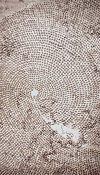 Vals w2218 c.beige-beige