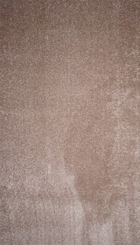 Дорожка Camino 00000A beige-beige