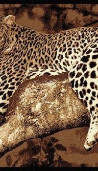 Afrika 4213-90